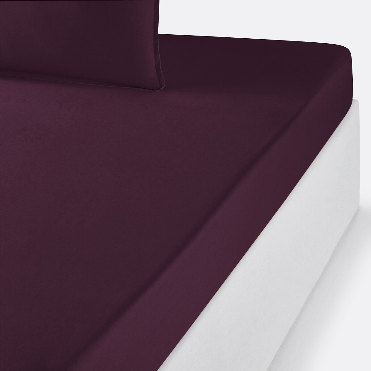 La Redoute Interieurs Plain Organic Cotton Percale Fitted Sheet Unisex Blackcurrant Single (90X190cm) Kids
