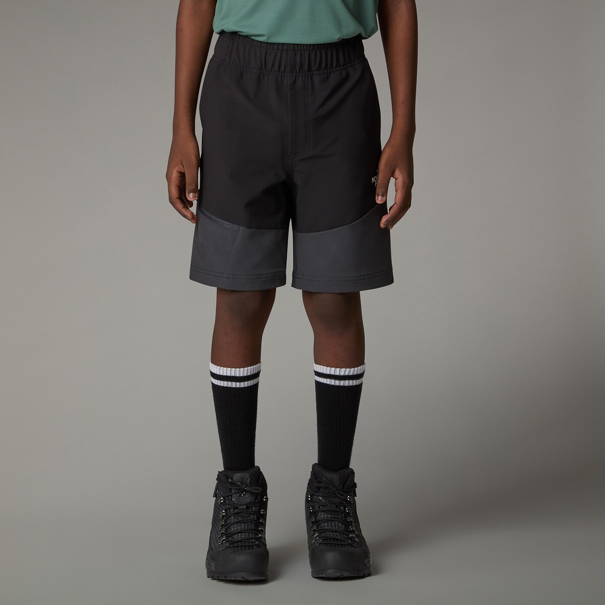 The North Face Shorts Black Small