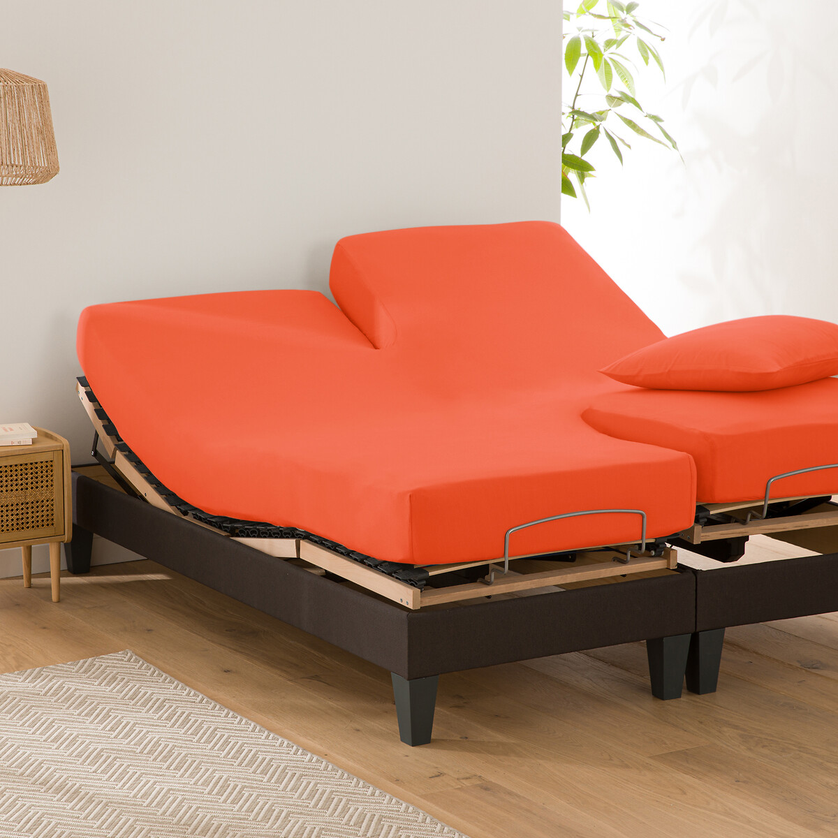 Sábana bajera lisa de algodón para cama articulada Scenario. Talla Cama 160cm (160x200cm). Color