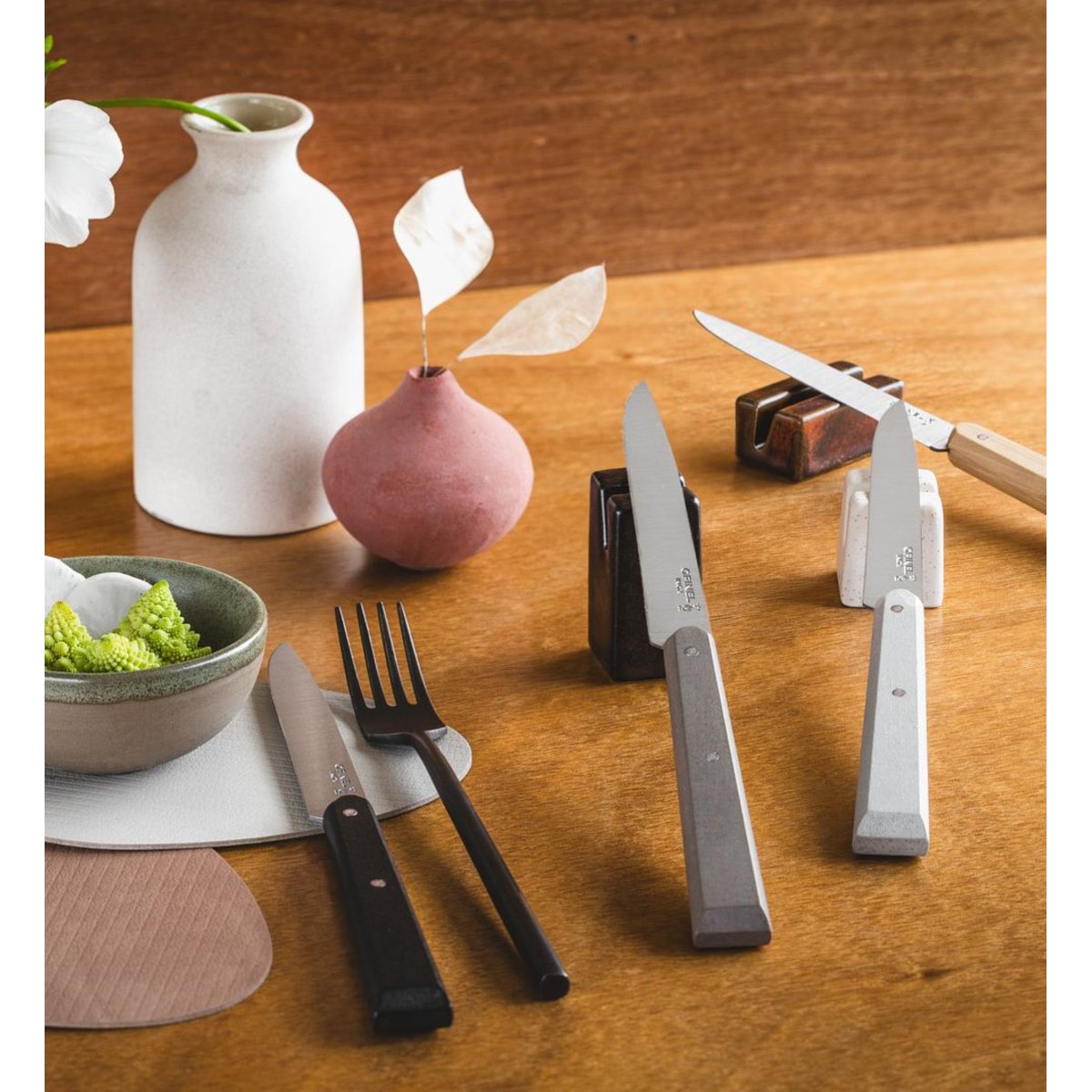 Set de couteaux Coffret Bon Appétit Minéral Steack 4pcs couleur unique, OPINEL