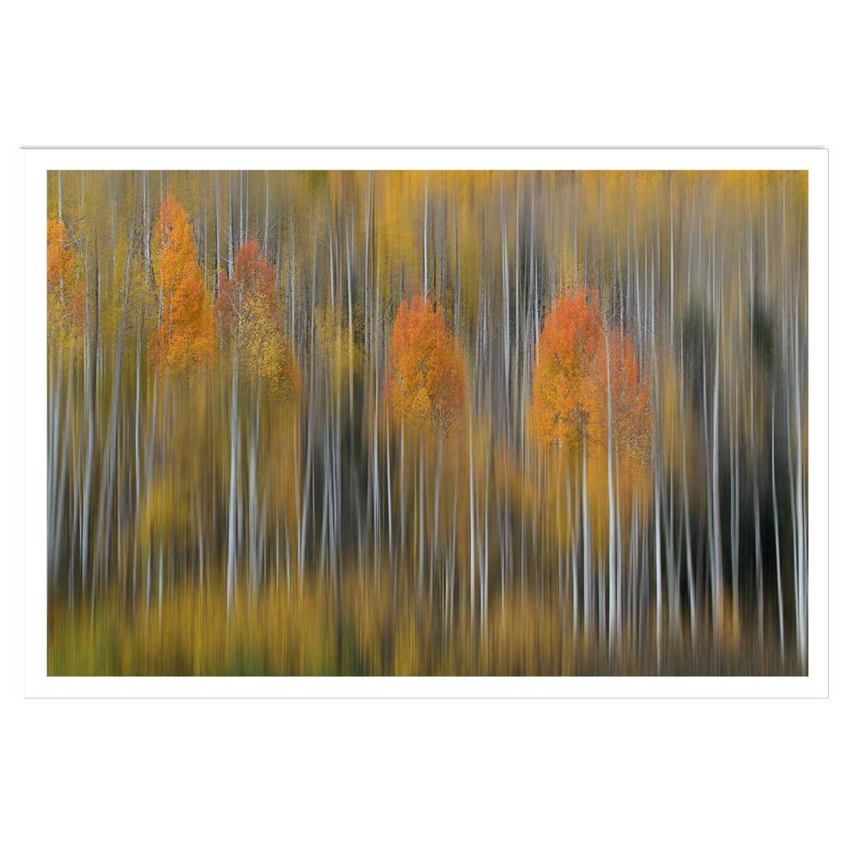 Affiche forêt et Impression d'automne affiche seule, HEXOA
