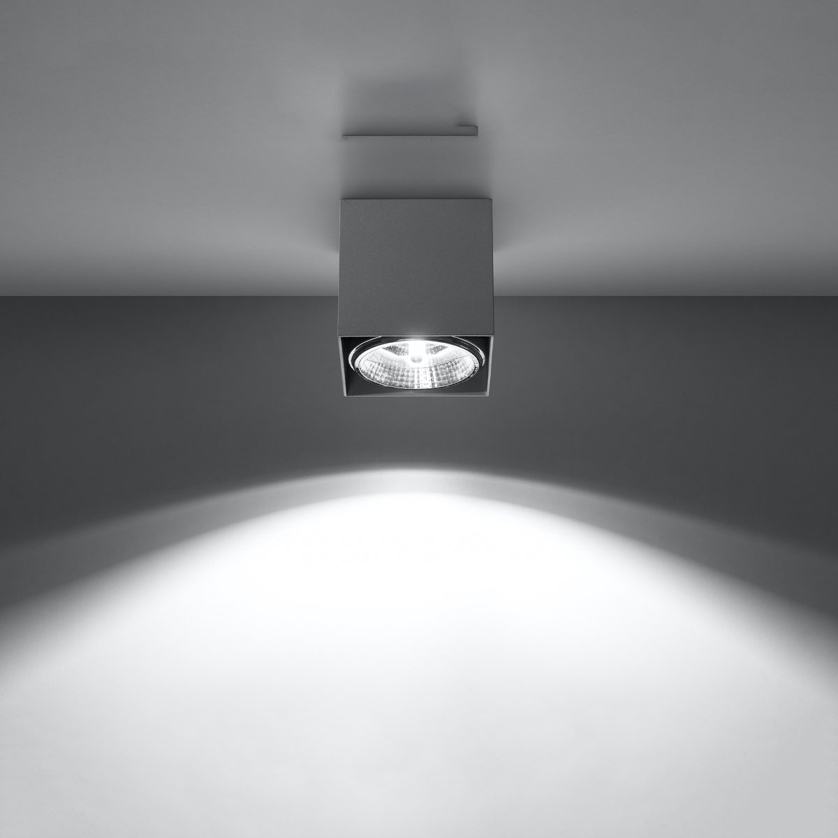 Plafonnier Aluminium Gris GU10/ES111 1 Blake gris, EDEN