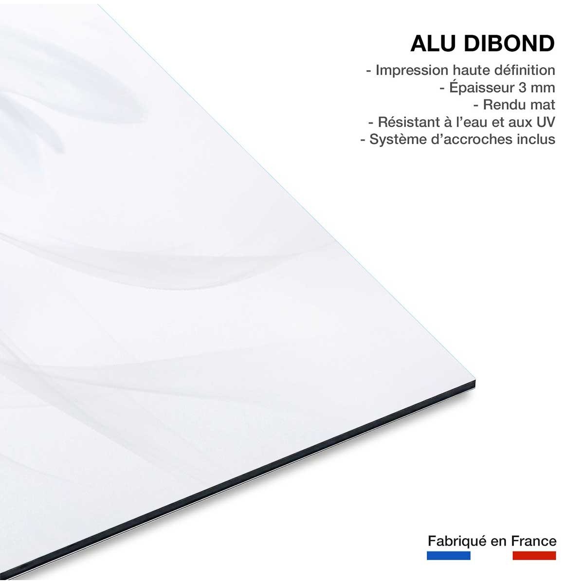 Tableau fleurs serenity tableau alu dibond, HEXOA