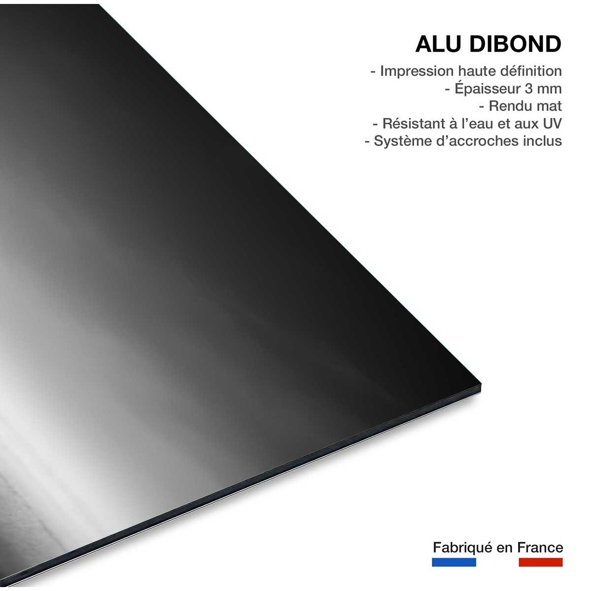 Tableau animaux artistic processing tableau alu dibond, HEXOA