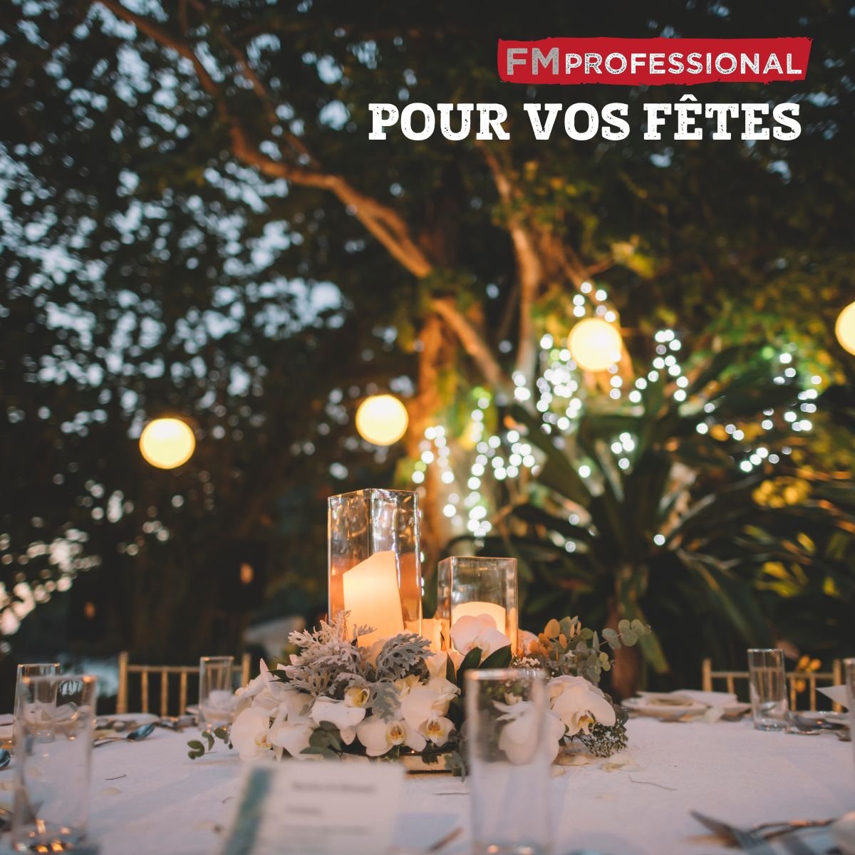 Lot de 12 salières/poivrières inox,transparent, FM PROFESSIONAL