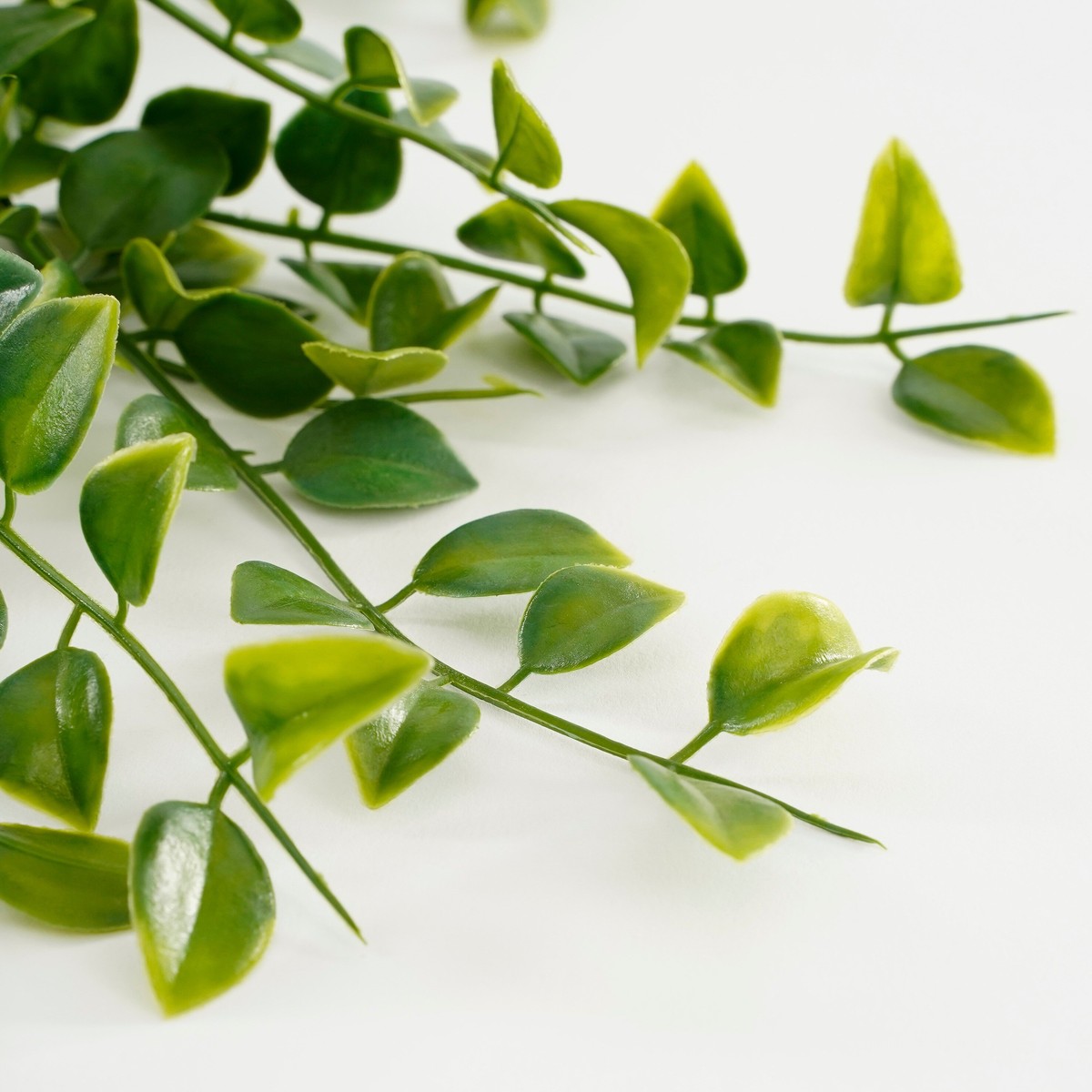 Plante artificielle FICUS vert, MICA DECORATIONS