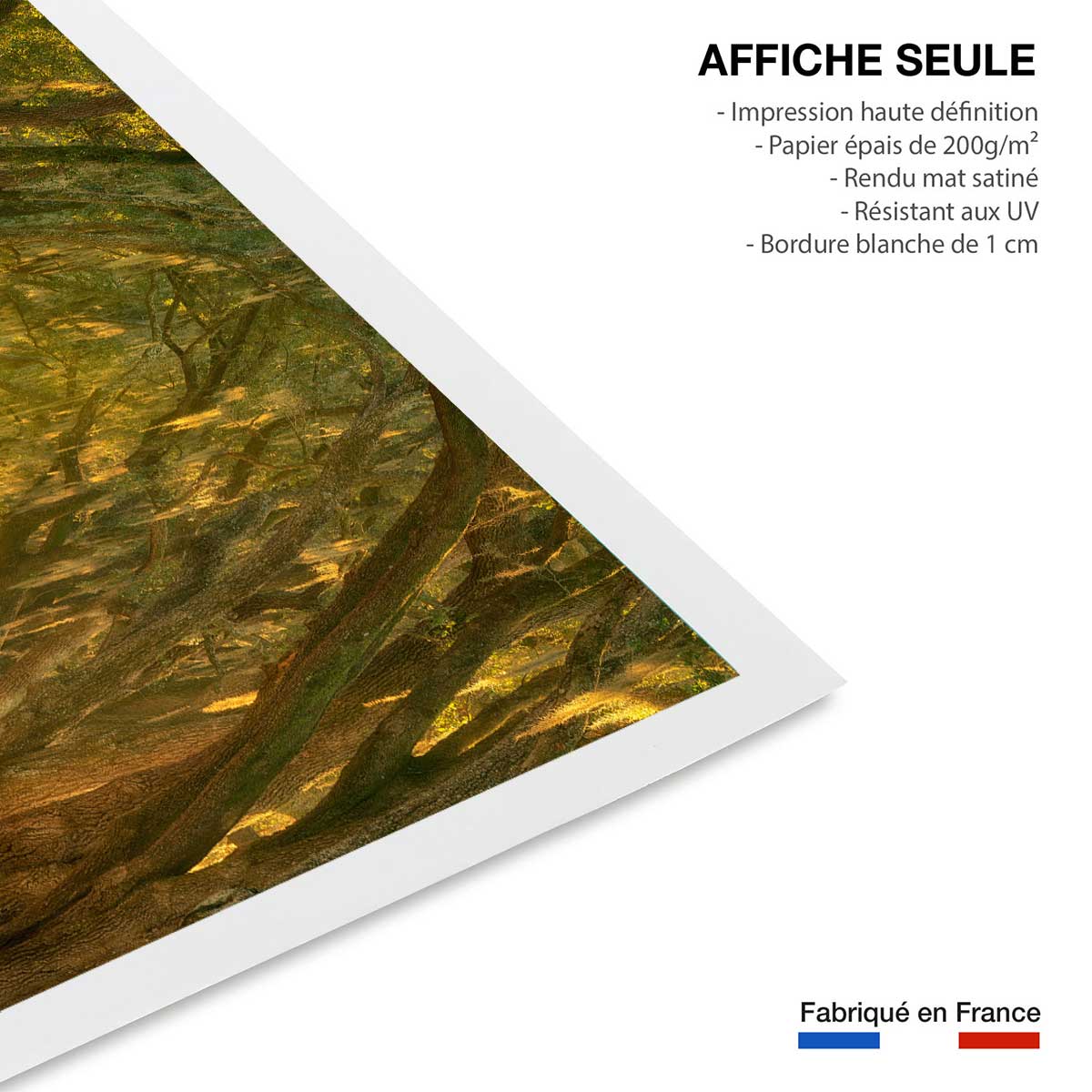 Affiche ""Allee enchanteresse"" affiche seule, HEXOA