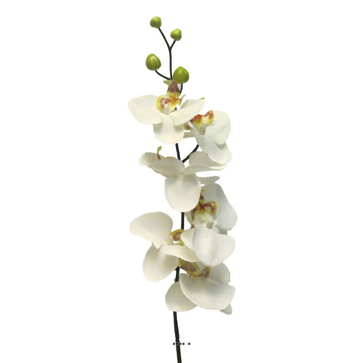 Tige d’orchidée phalaenopsis artificiel crème, ARTIFICIELLES