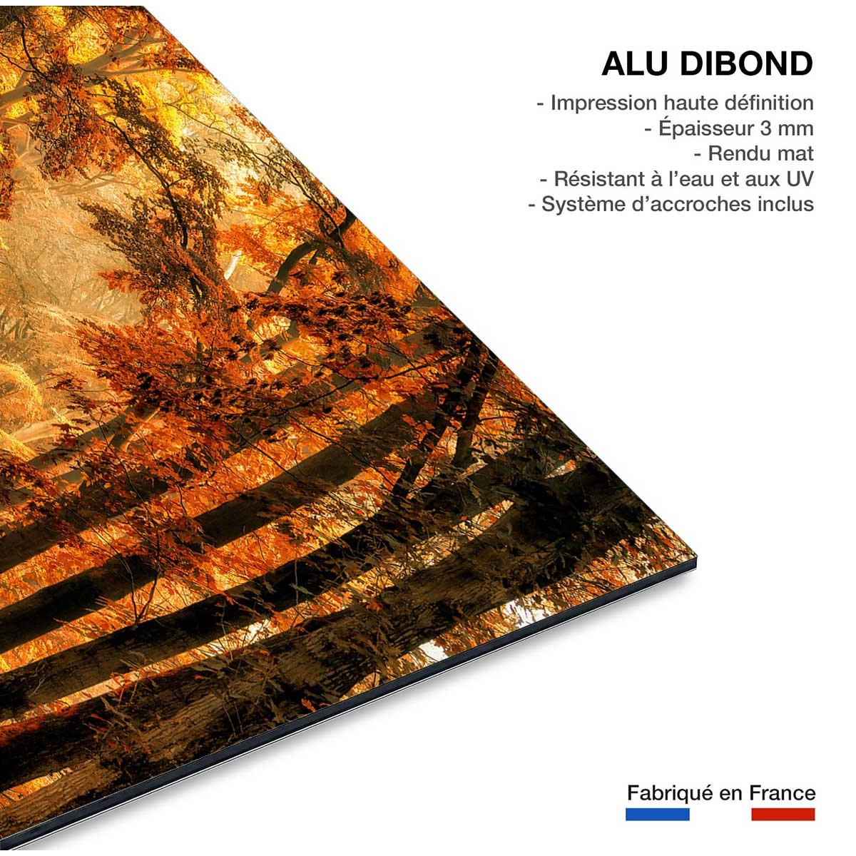 Tableau magie de l' automne tableau alu dibond, HEXOA