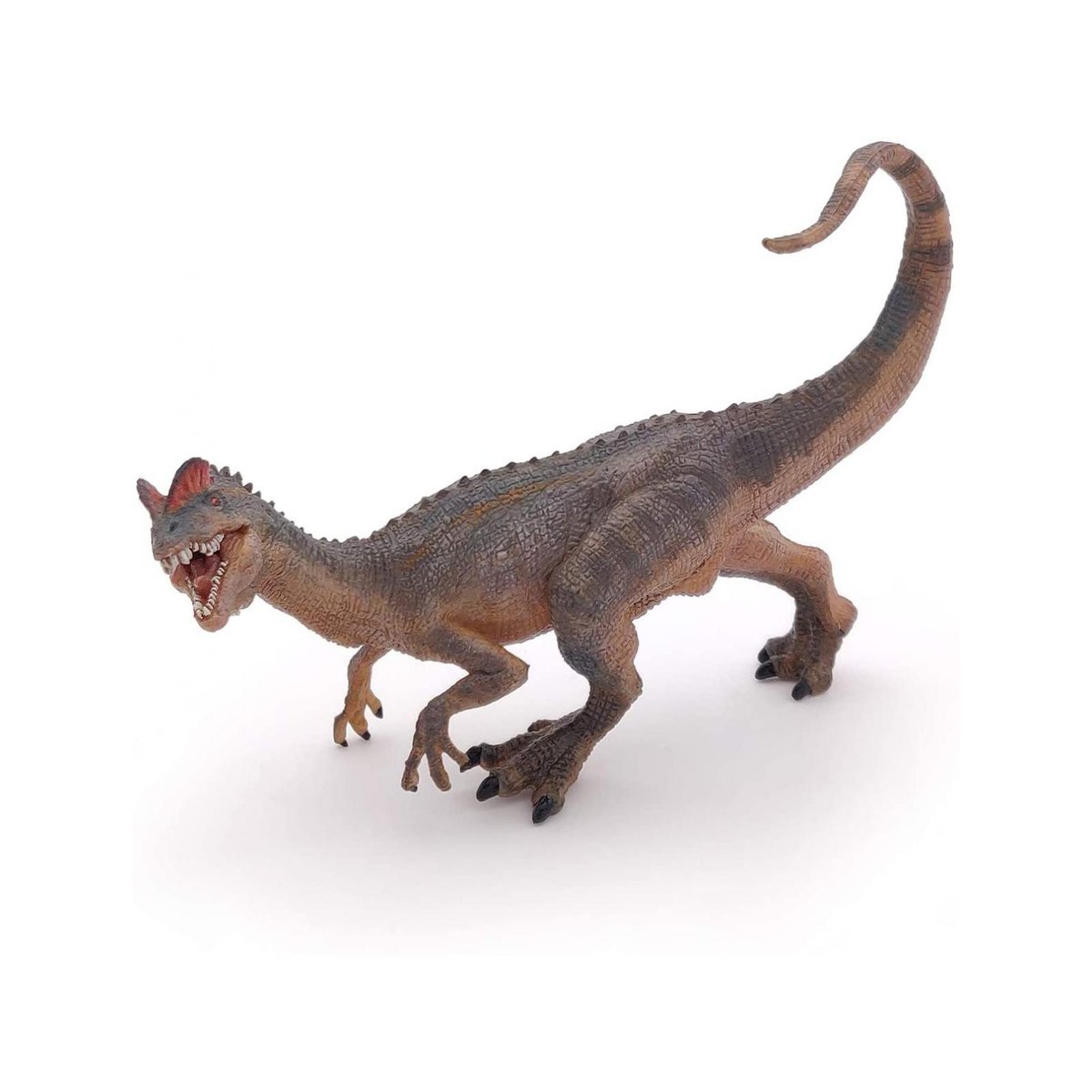 Figurine Dilophosaure marron, PAPO