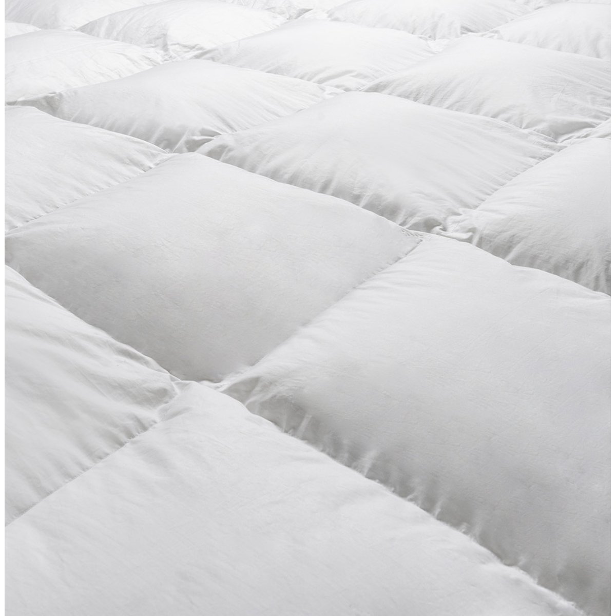 Couette PALAIS DES REVES - 70% duvet d'oie - Tempérée blanc, DROUAULT