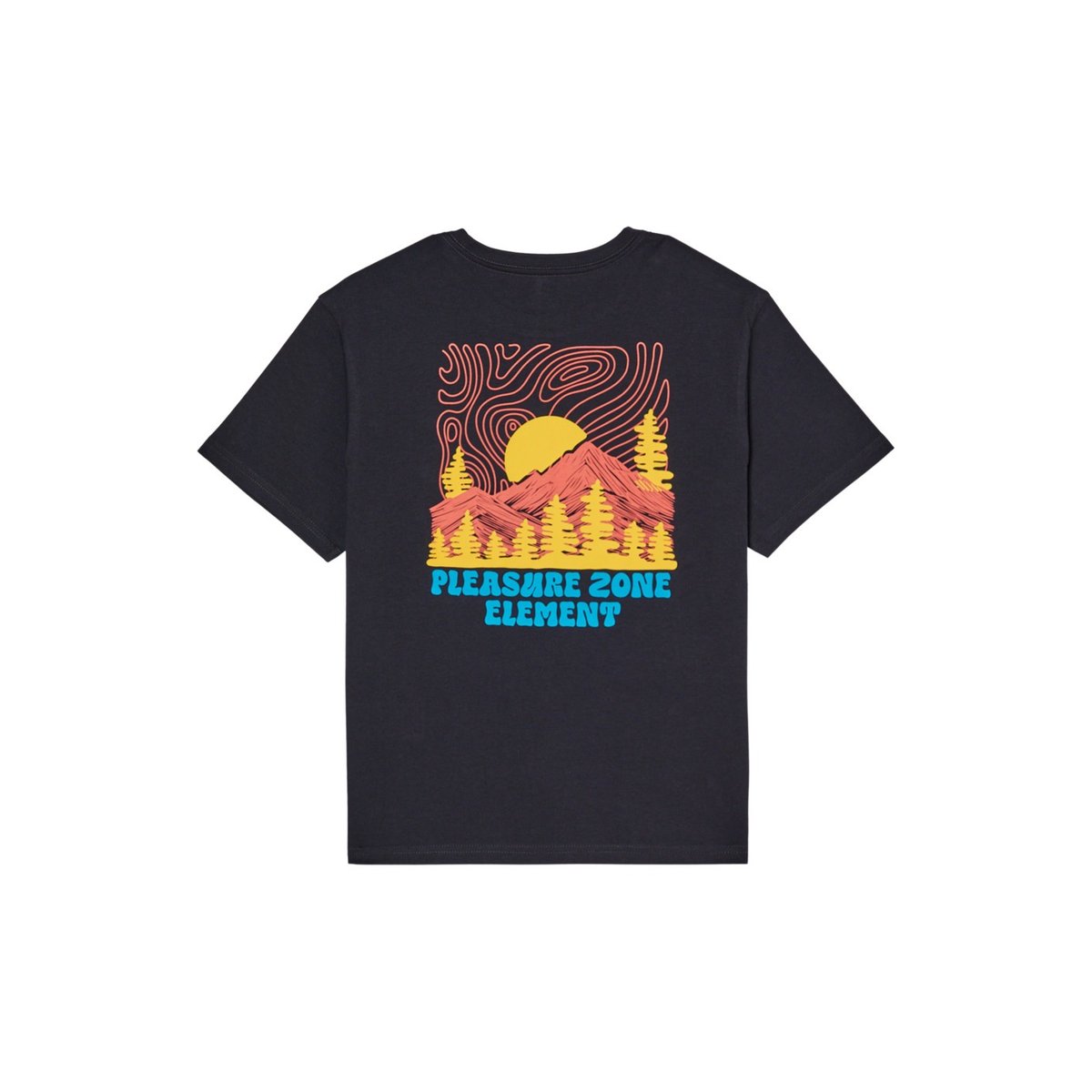 T-Shirt manches courtes PLEASURE noir off black, ELEMENT