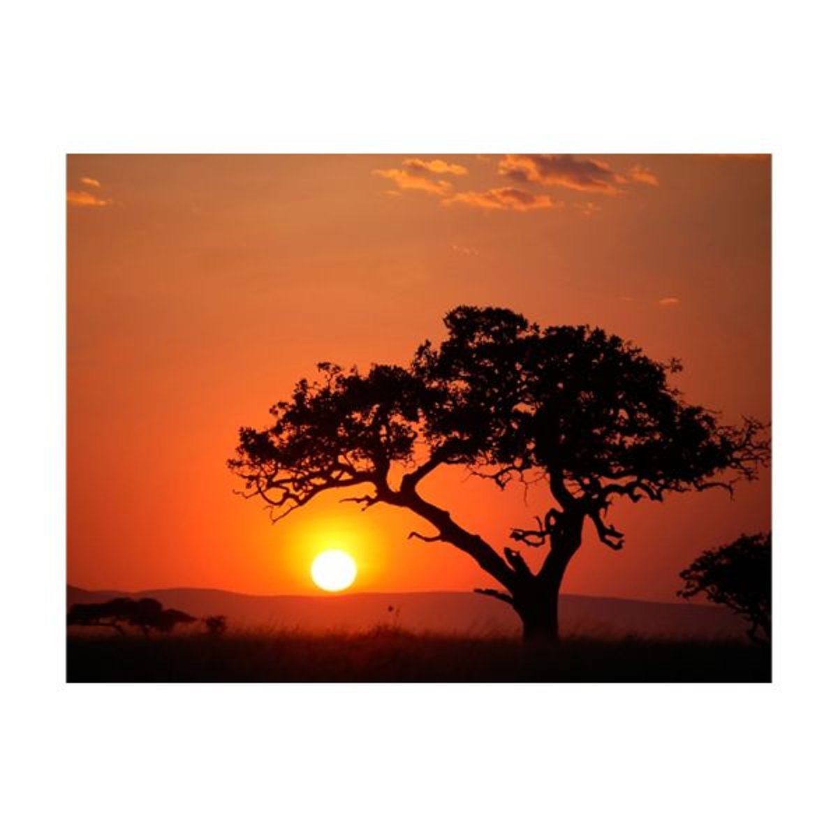 Papier peint intissé panoramique Paysage Afrique: coucher de soleil noir, EDEN