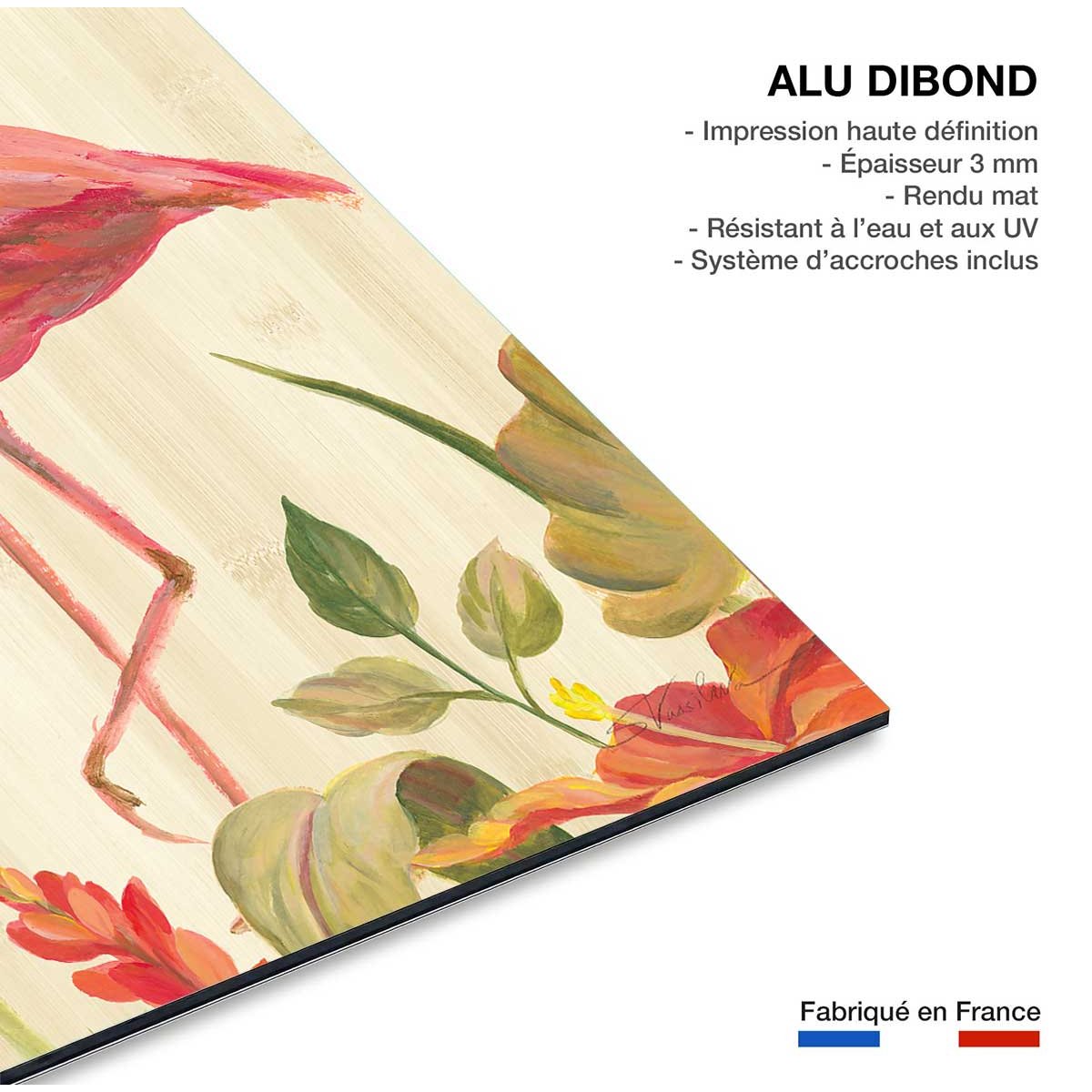 Tableau Flamant rose tropical tableau alu dibond, HEXOA