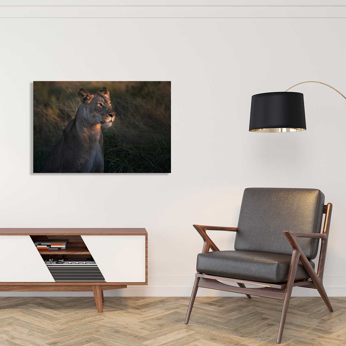 Tableau Lionne au crepuscule tableau alu dibond, HEXOA