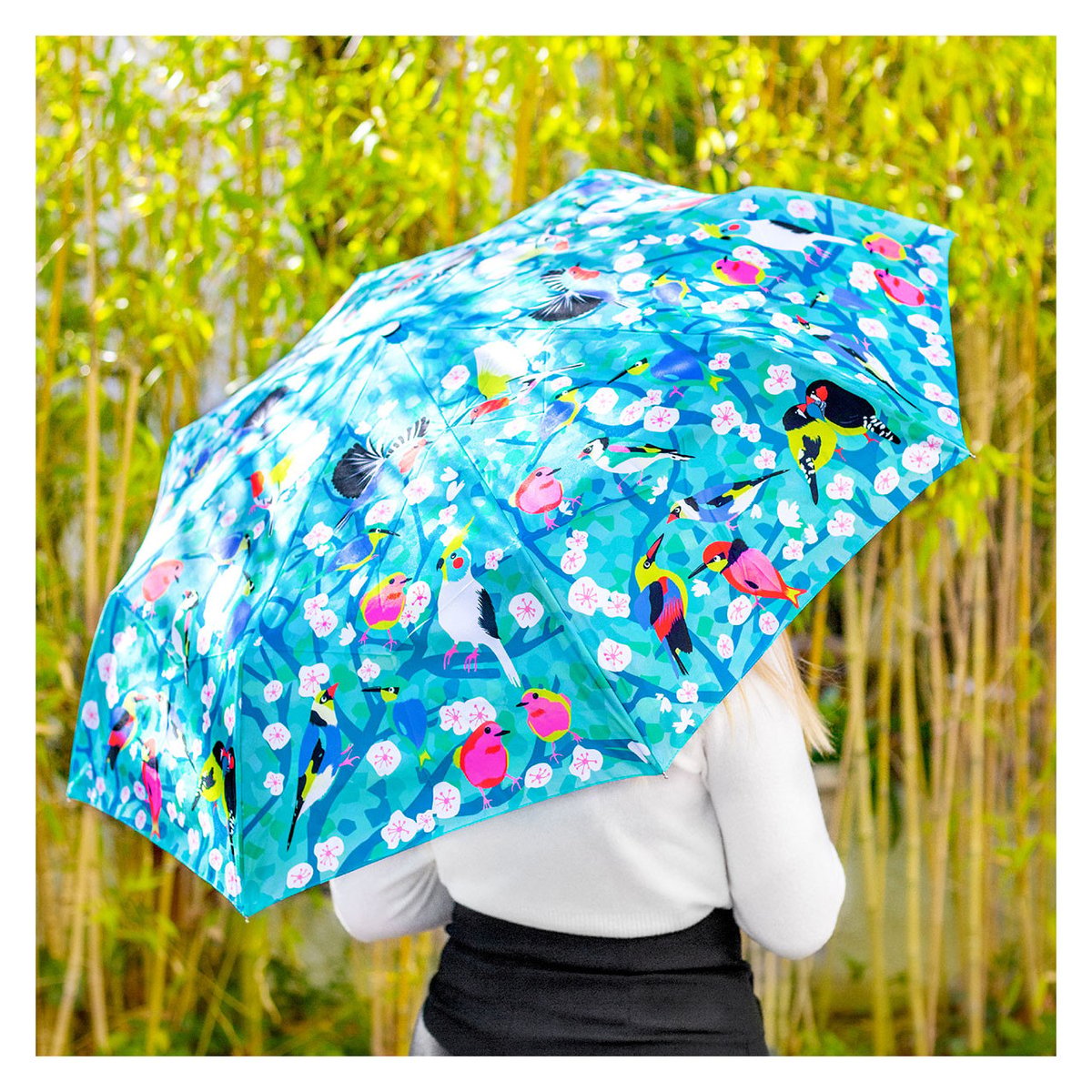 Parapluie pliant Parapli birds, PYLONES