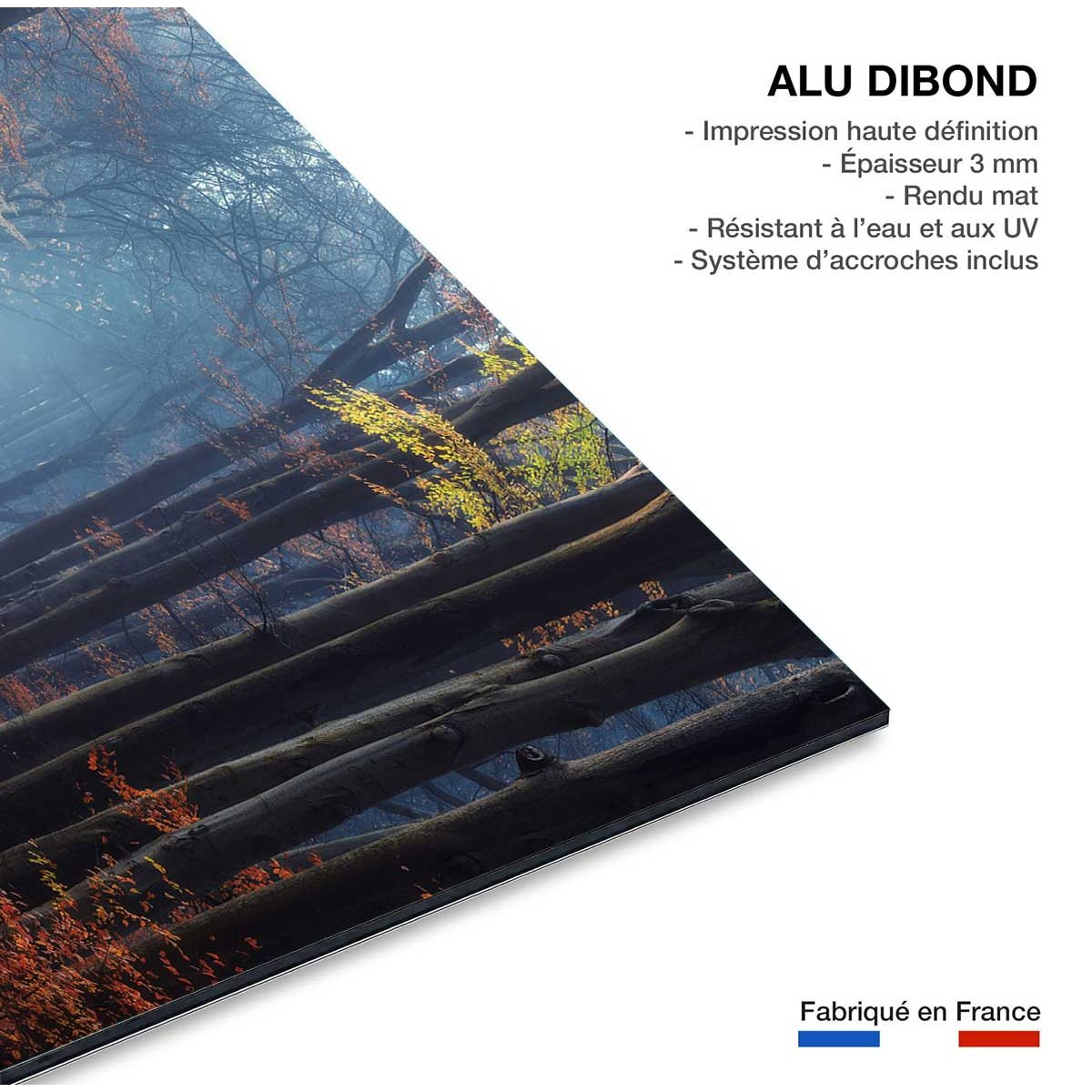 Tableau Lumière d'automne tableau alu dibond, HEXOA