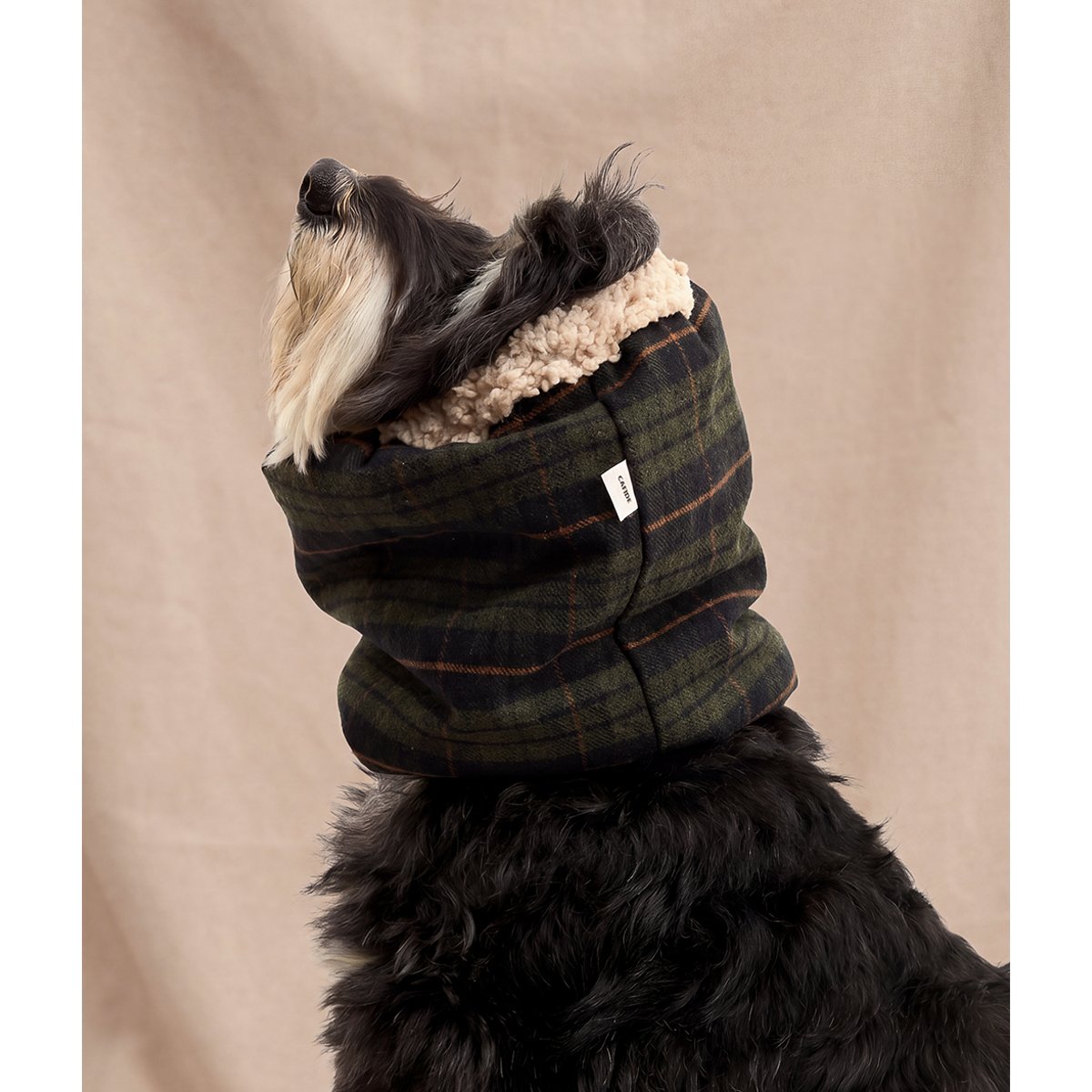 Snood tartan vert pour chien, Olga vert, CAFIDE
