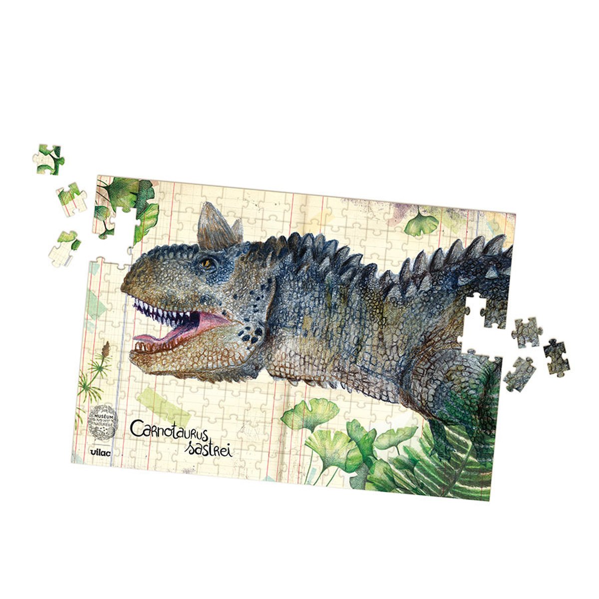 Coffret 3 puzzles dinosaures et posters beige, VILAC
