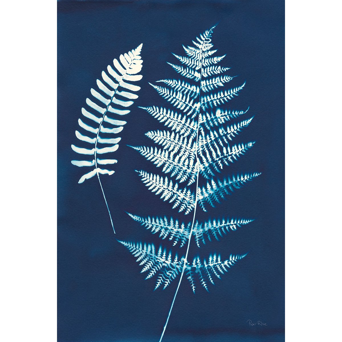 Tableau fleurs Duo fougères bleues tableau alu dibond, HEXOA