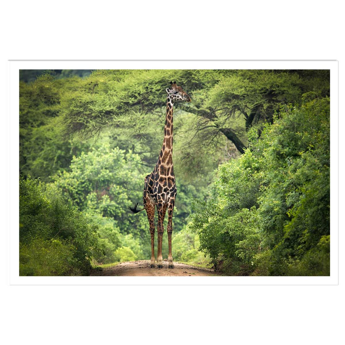 Affiche Girafe inattendue affiche seule, HEXOA