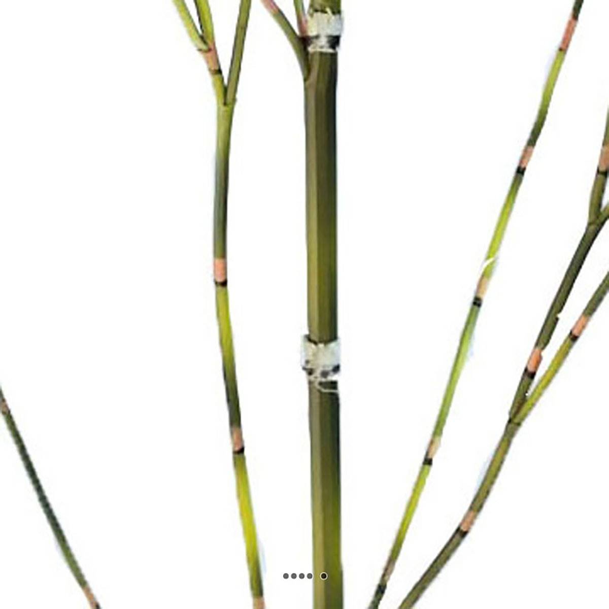Fausse canne de bambou H 105 cm v002239, ARTIFICIELLES