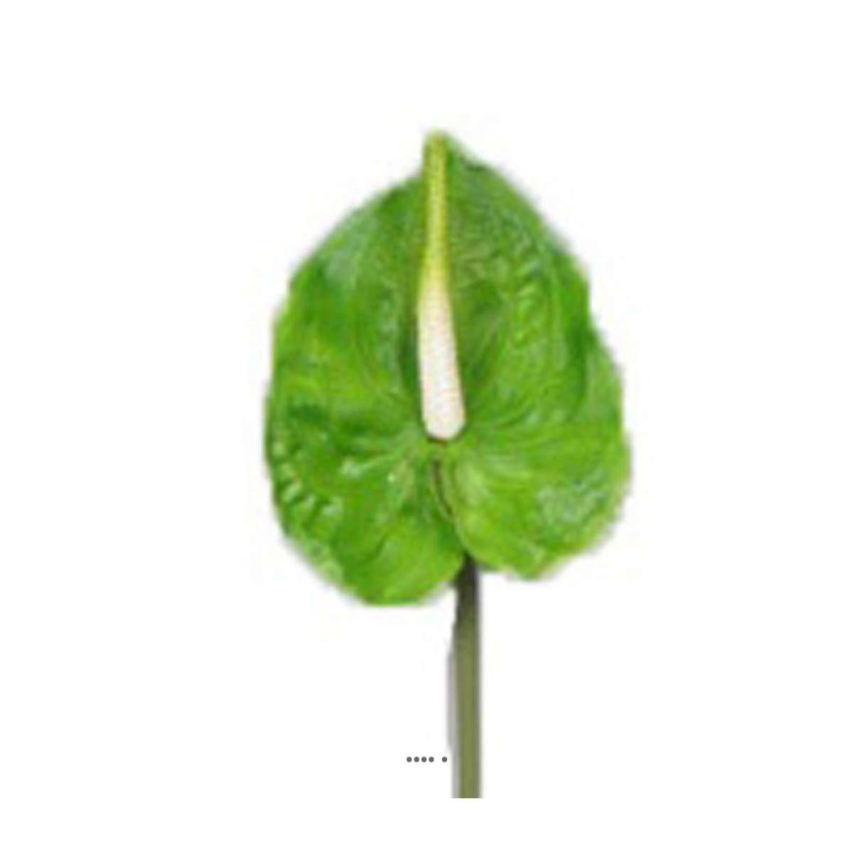 Tige Anthurium artificiel L 66 cm Vert vert, ARTIFICIELLES