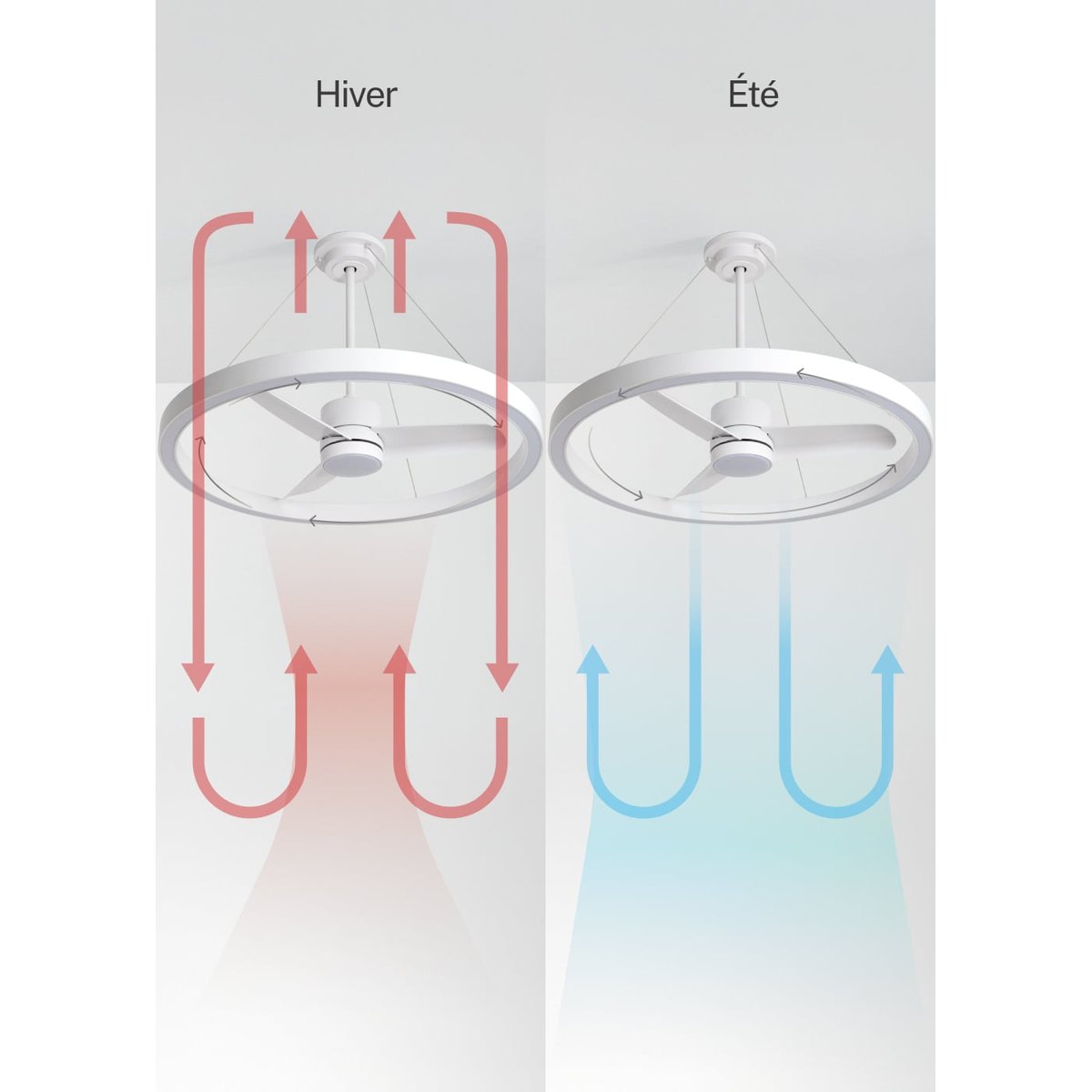 Ventilateur plafond 36W silencieux Ø108 WIND HALO blanc/blanc, CREATE