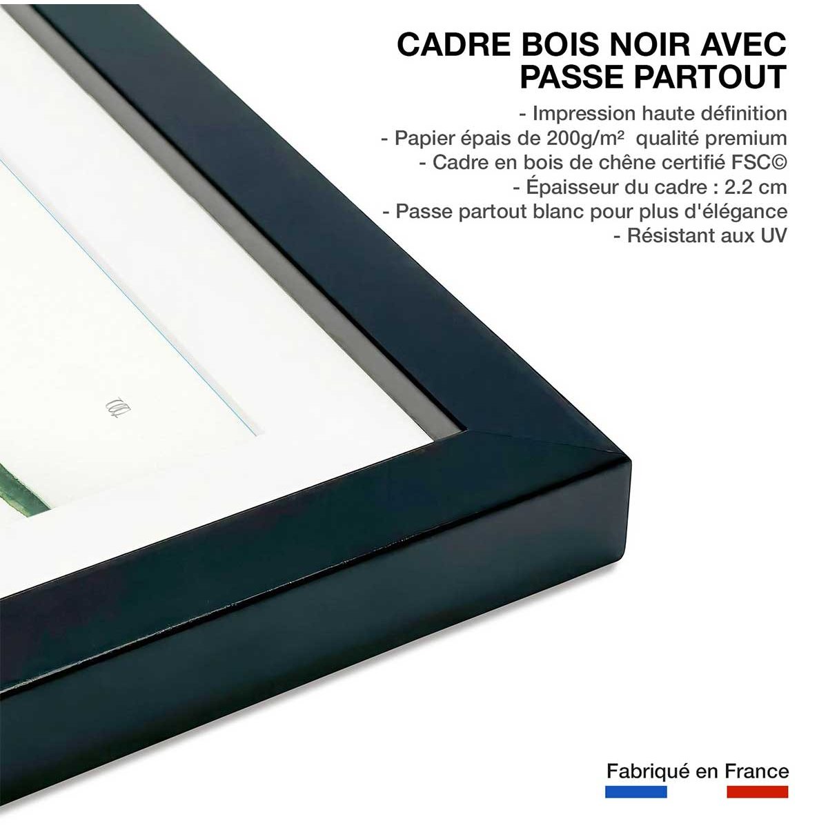 Affiche Plante aloe watercolor affiche + cadre en bois - noir, HEXOA