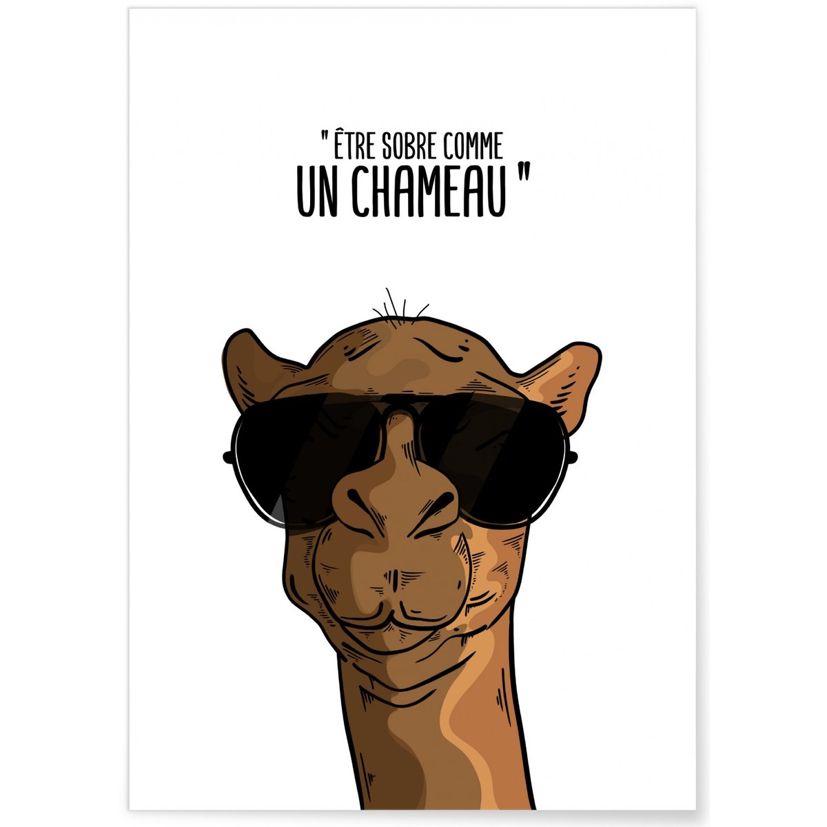 Affiche 'Sobre comme un chameau' blanc, L'AFFICHERIE