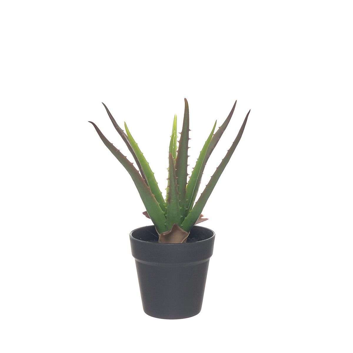 Planta artificial "Aloe" 36cm, BORGHESI verde, BORGHESI