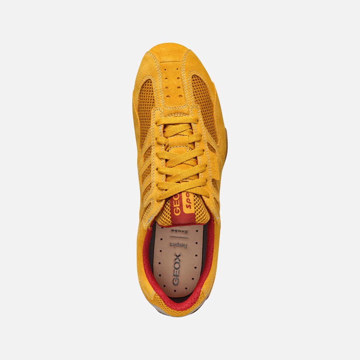 Baskets U SNAKE ORIGINAL ocre, GEOX