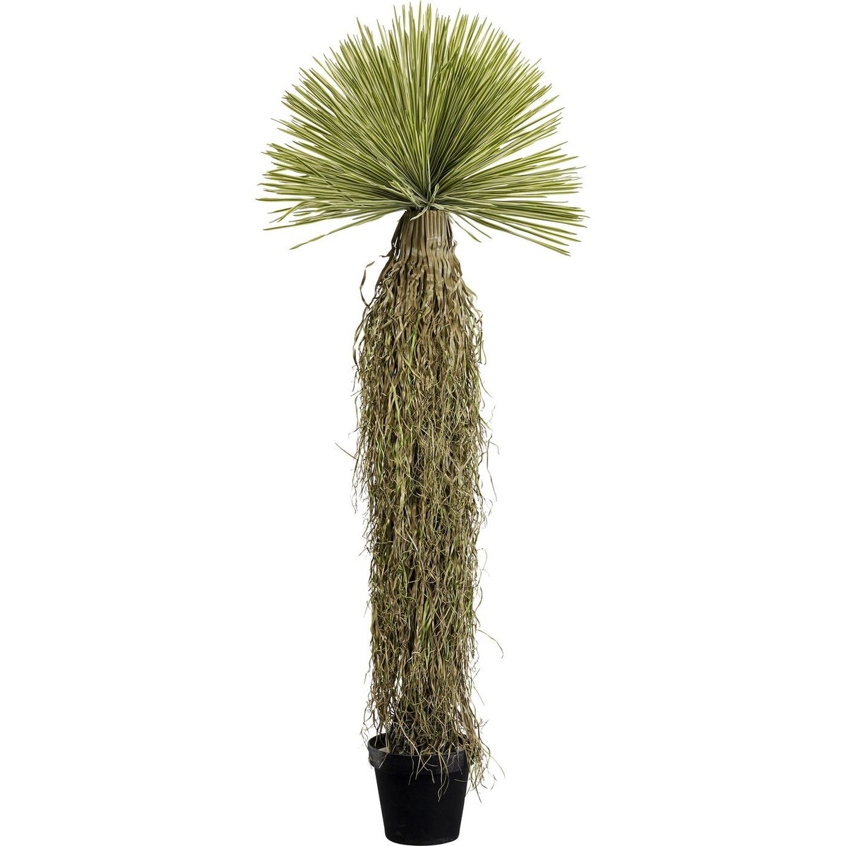 Plante décorative Yucca vert, KARE DESIGN