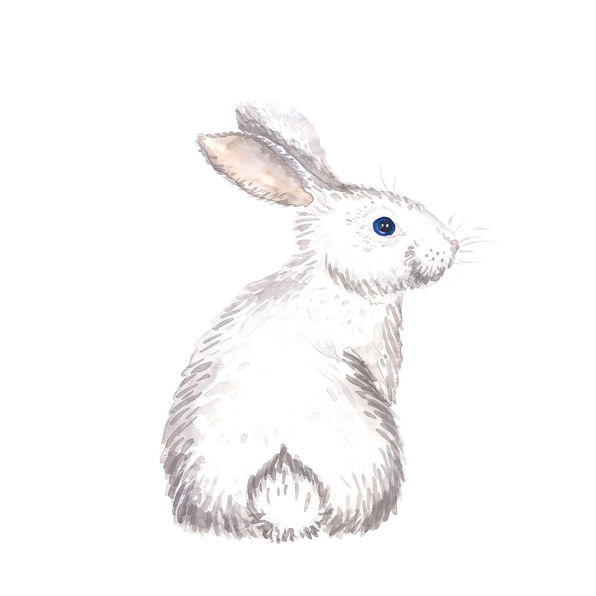 Tableau enfants pour le lapinou tableau alu dibond, HEXOA