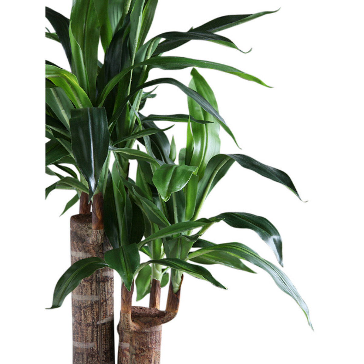 80cm Artificial Double Stem Yucca green, SO'HOME