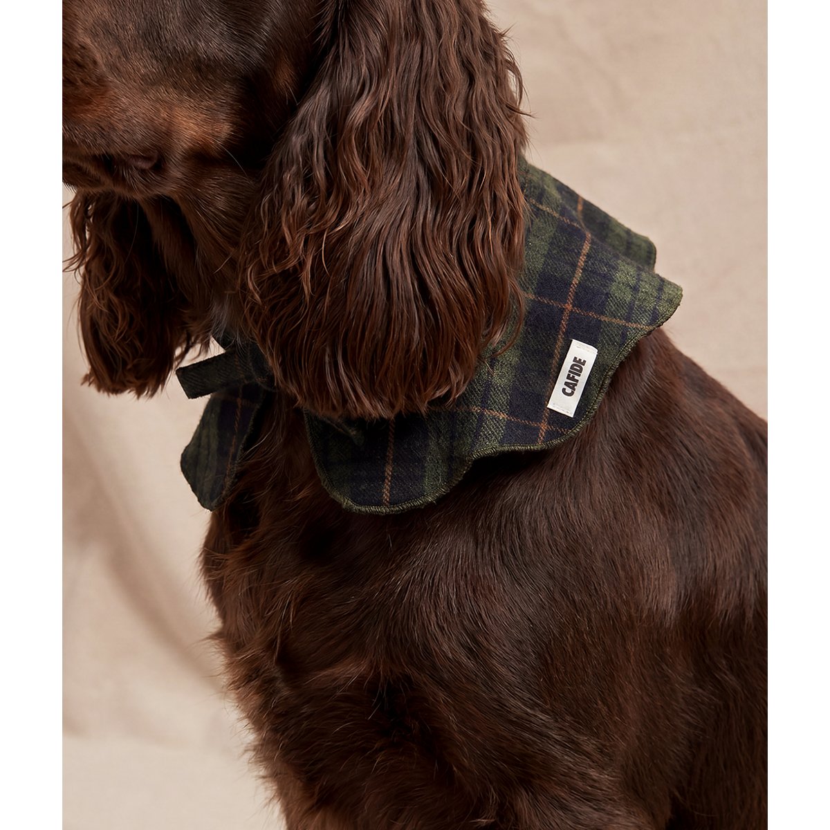 Bandana pour chien style col tartan vert, Lola vert, CAFIDE