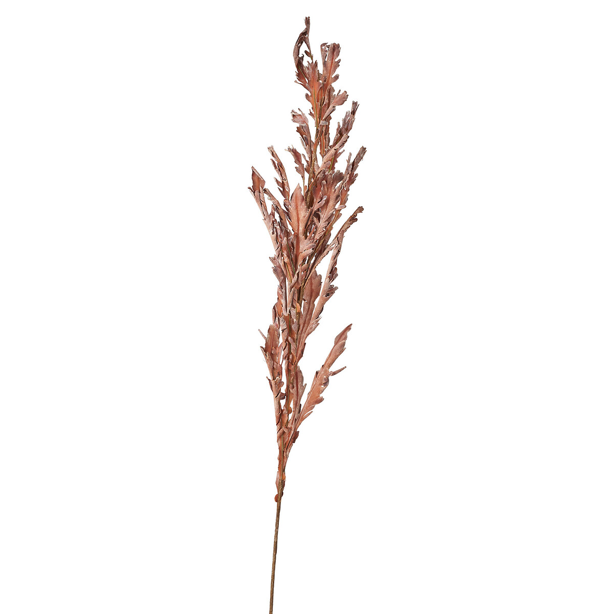 Set of 6 109cm Mulberry Brown Autumn Leaf Stems brown , ÉDITÉ