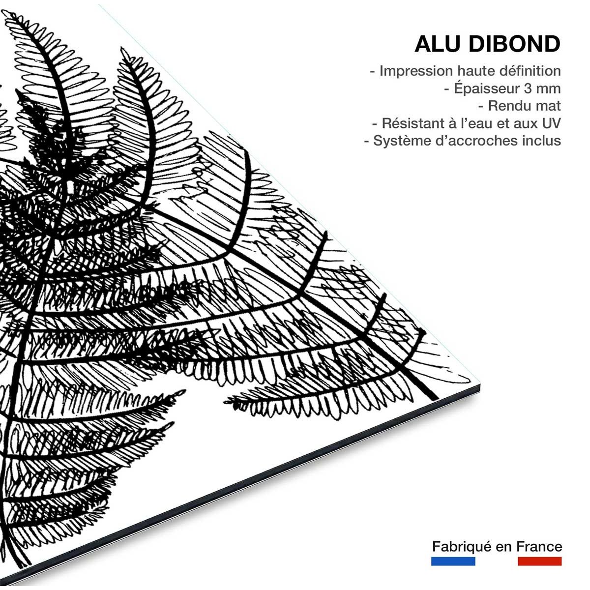 Tableau landes fougères tableau alu dibond, HEXOA