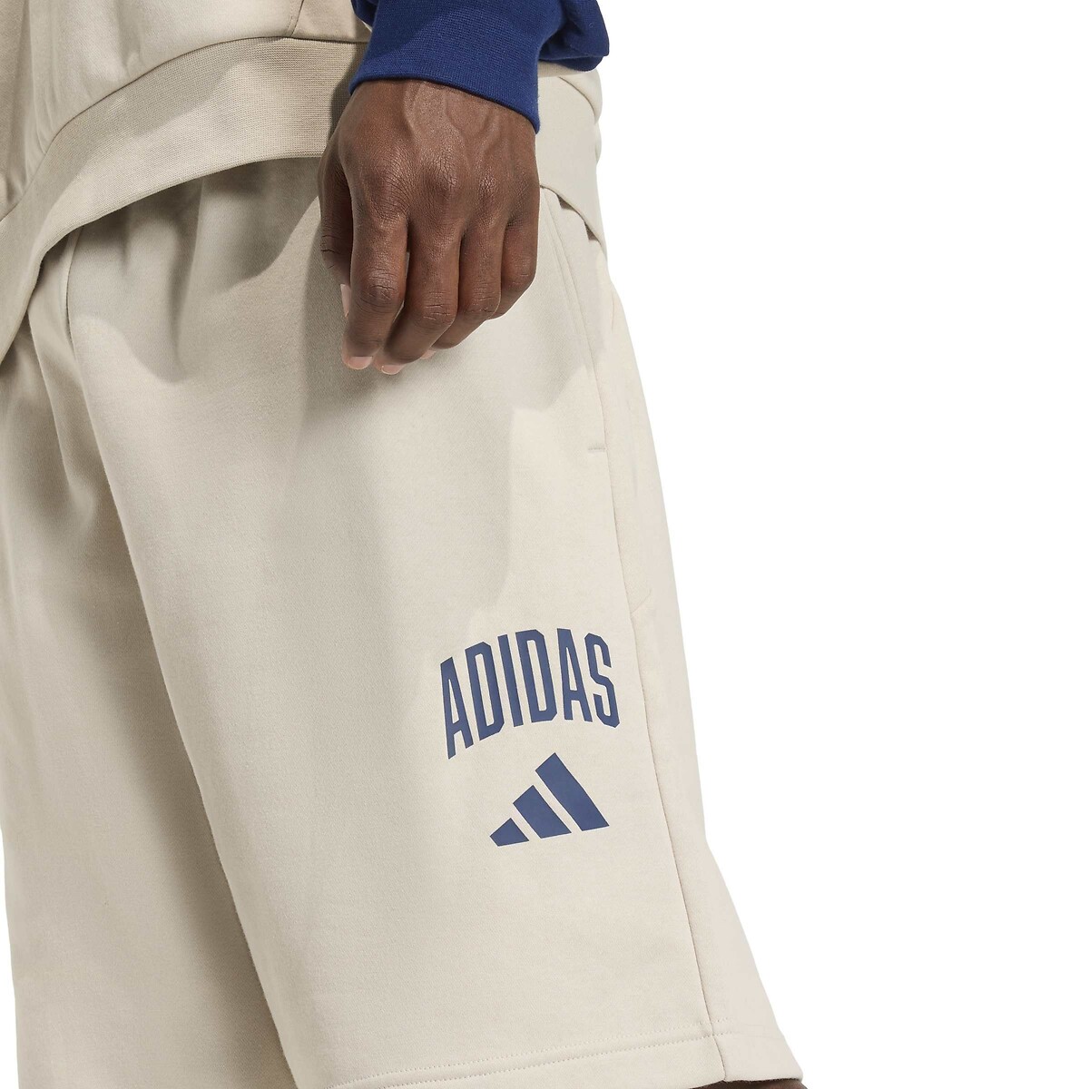 Pantaloncini logo SEASONALS grigio/blu scuro, ADIDAS SPORTSWEAR