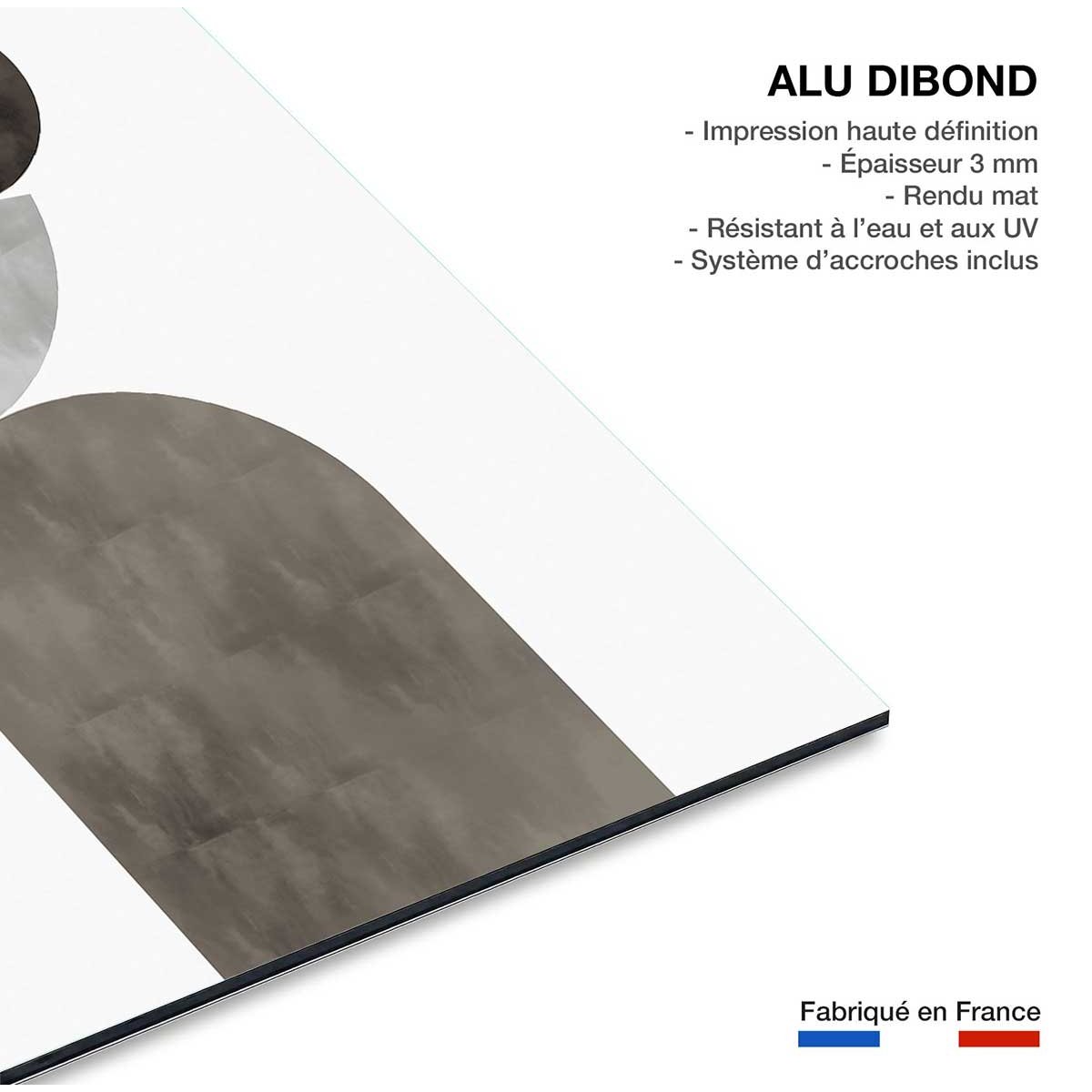 Tableau Lévitation courbe beige tableau alu dibond, HEXOA