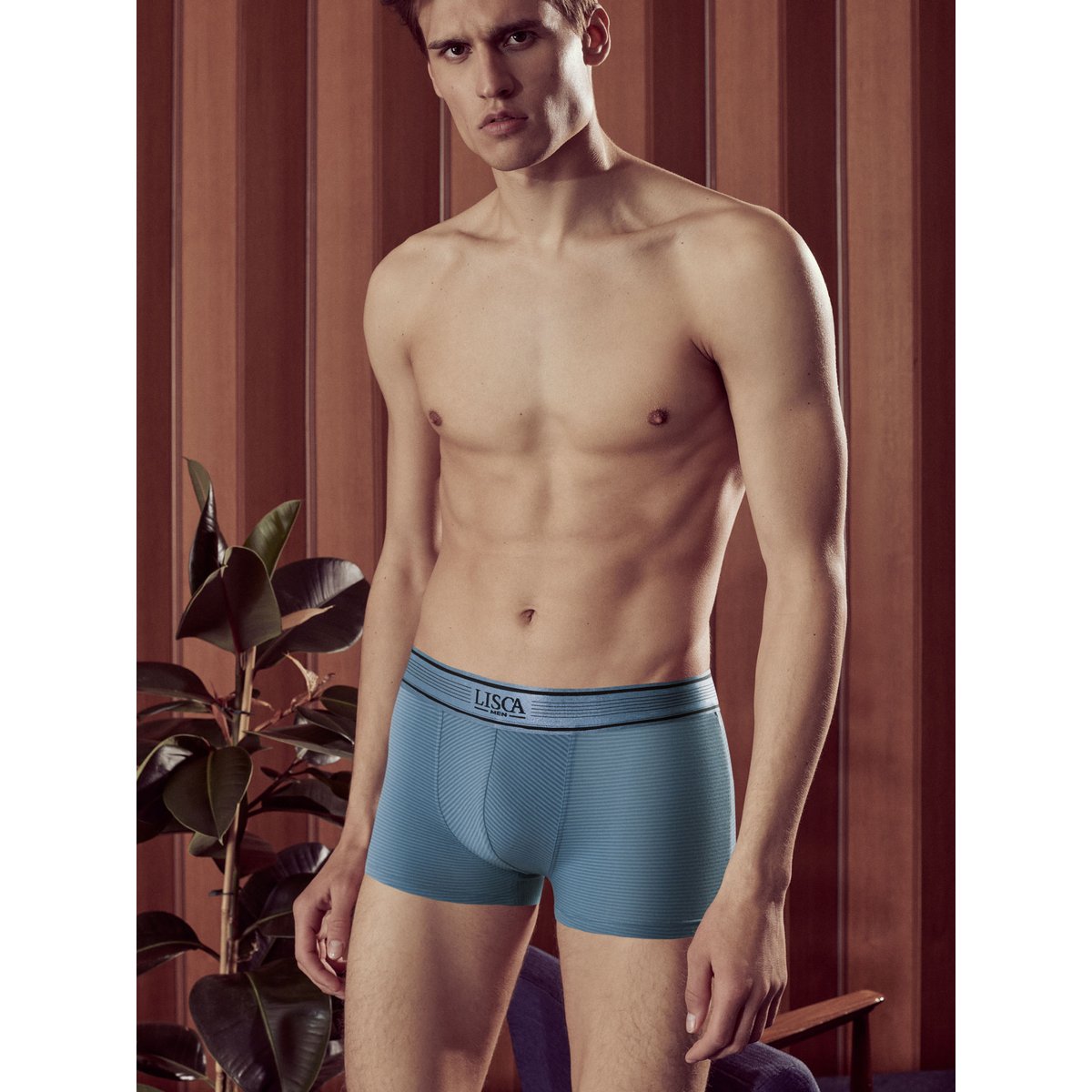 Boxer Zeus bleu ciel, LISCA