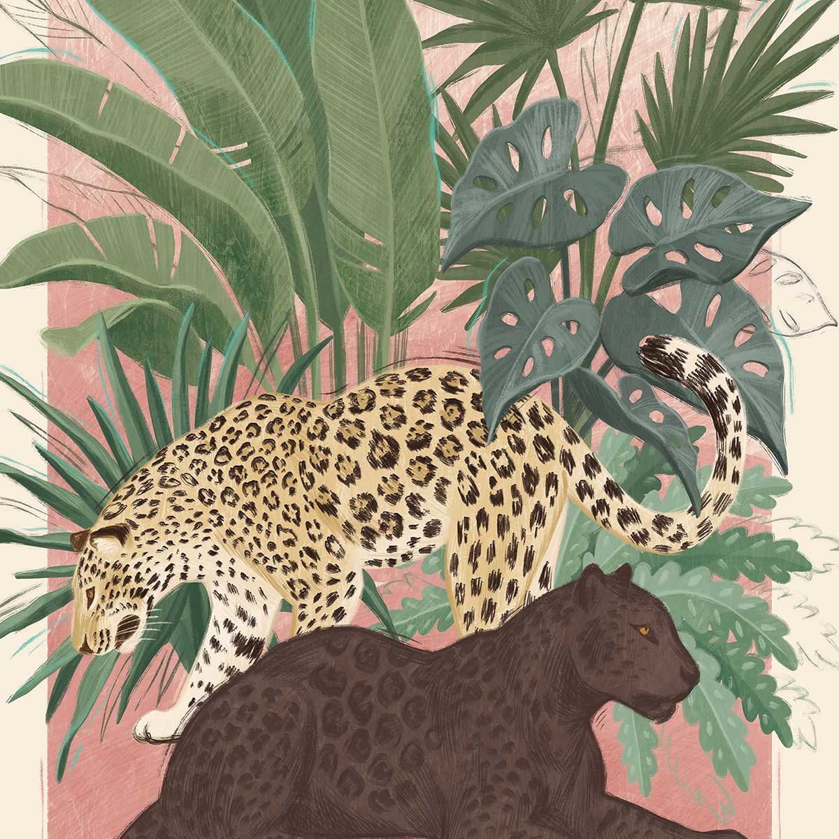 Tableau Panthers tableau alu dibond, HEXOA