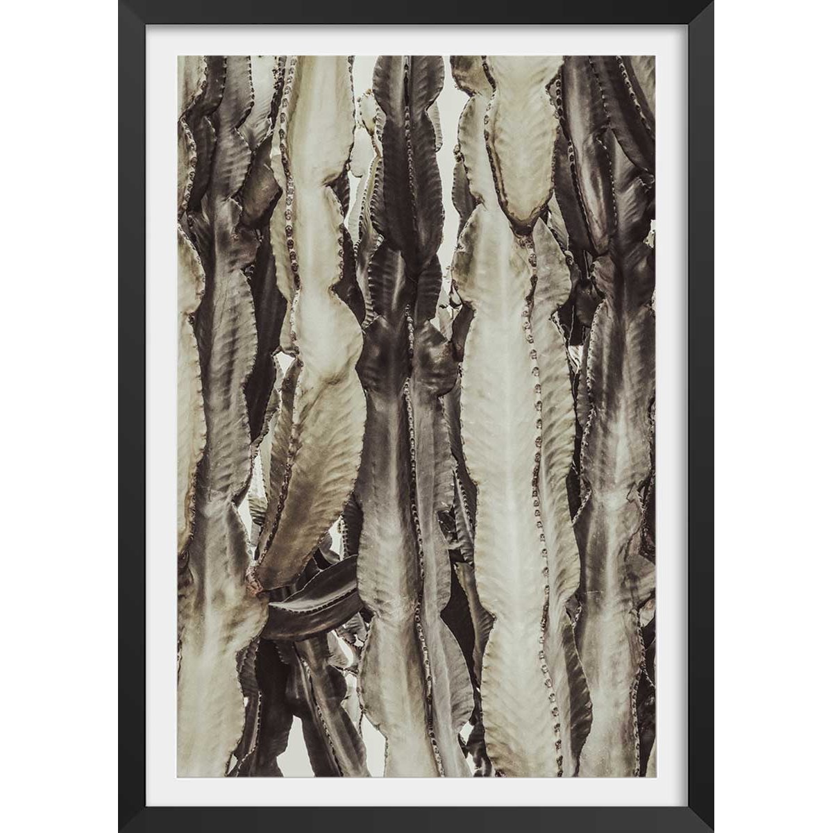Poster cactus mood affiche + cadre en bois - noir, HEXOA