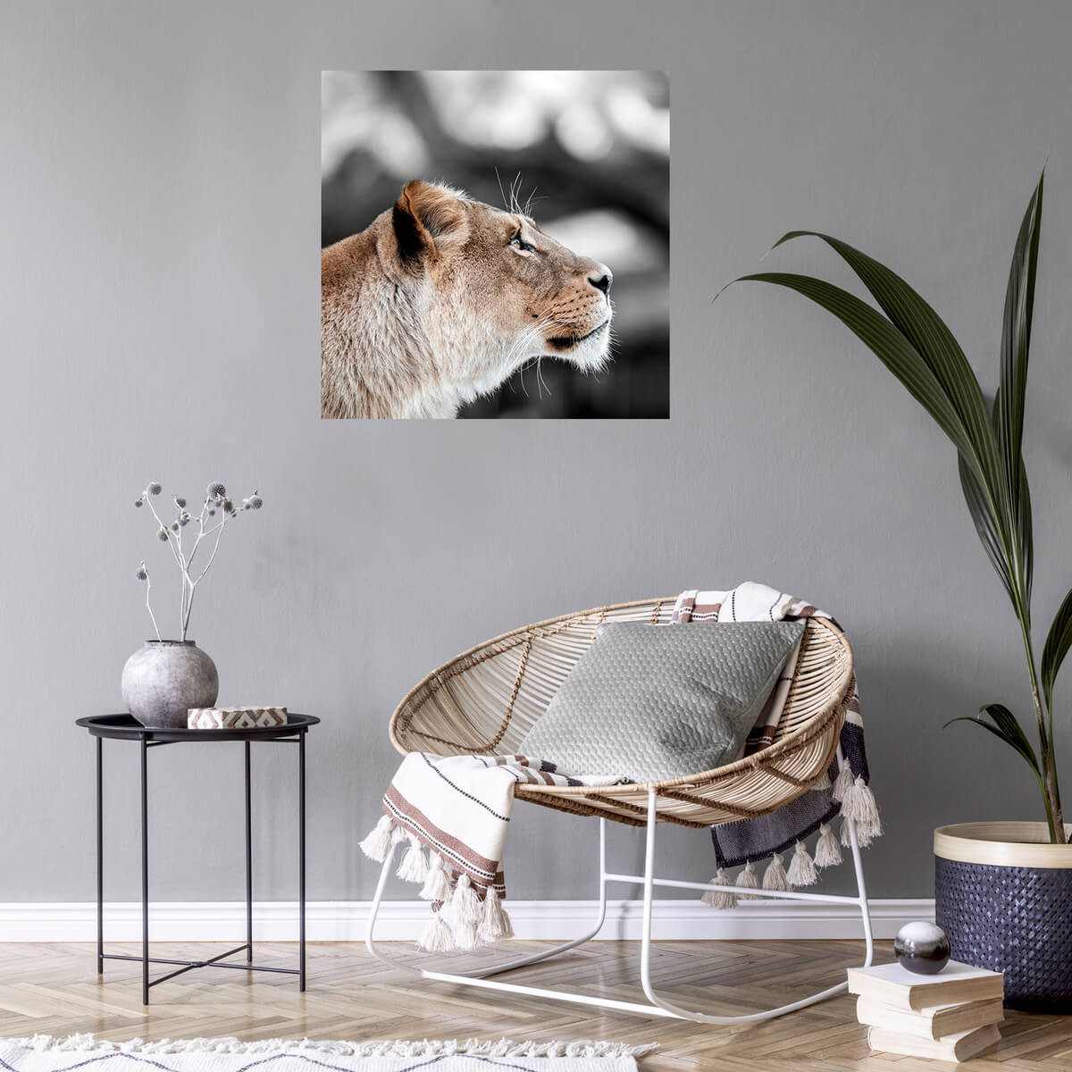 Tableau Mural Lionne De Profil ANIMAUX tableaux sur toile-gris, CEANOTHE