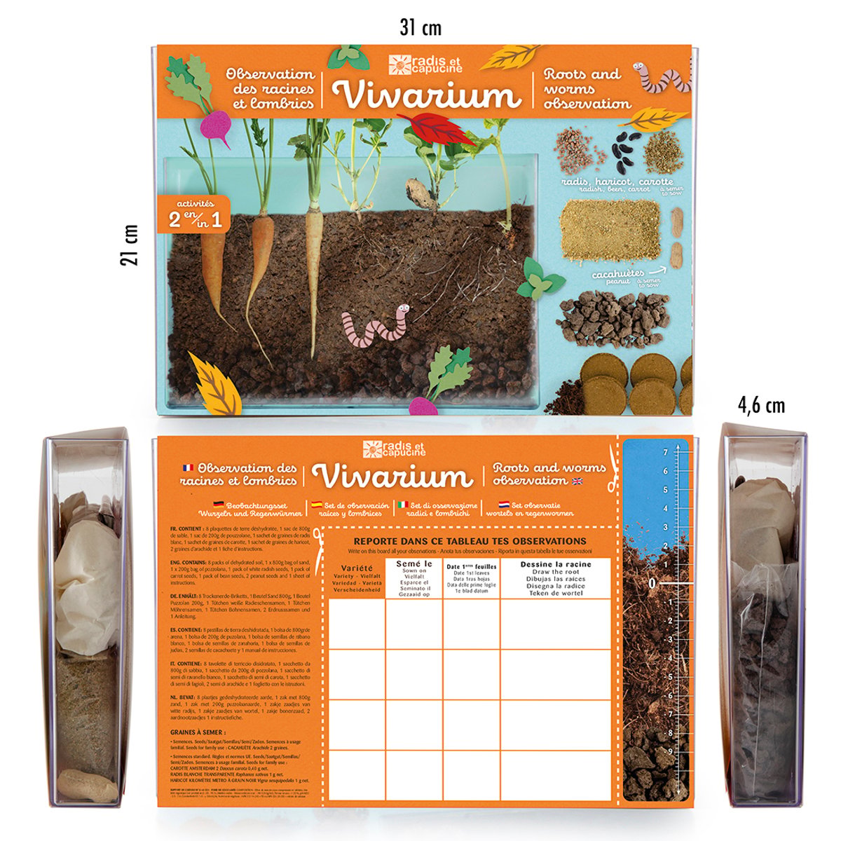 Vivarium Observation racines et vers de terre marron, RADIS ET CAPUCINE