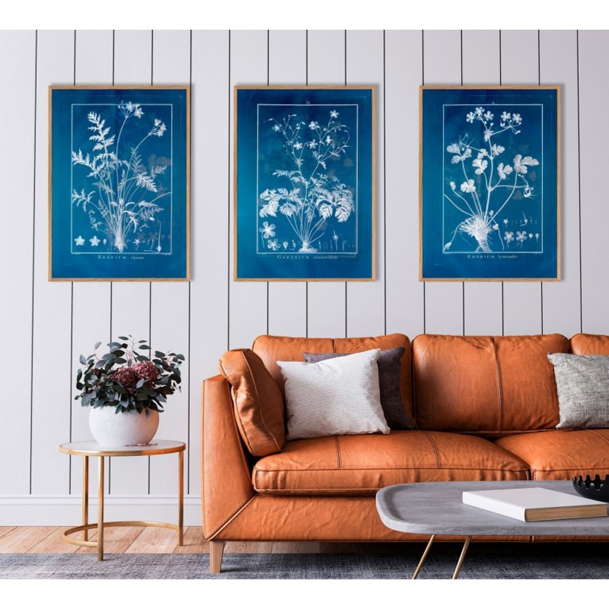 Affiche ancienne plante Geranium bleu, THE DYBDAHL CO
