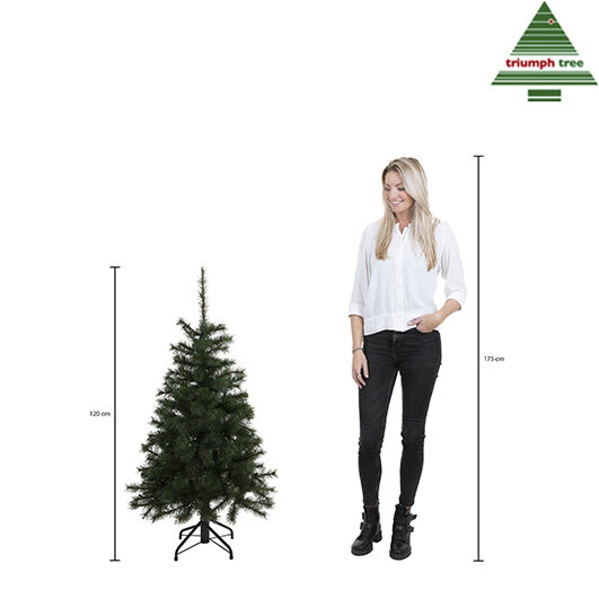 Sapin de Noël artificiel H120 cm FOREST FROSTED vert, TRIUMPH TREE