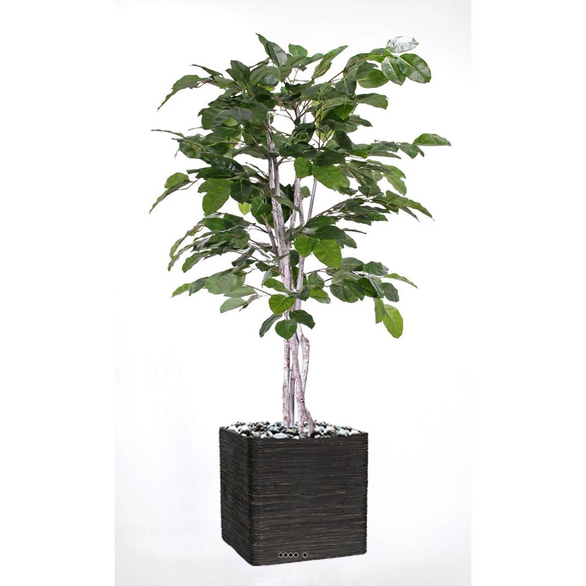 Figuier des Banyans artificiel 180 cm vert, ARTIFICIELLES