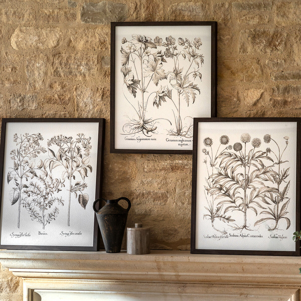 Set of 3 Evergreen Framed Art black, ÉDITÉ