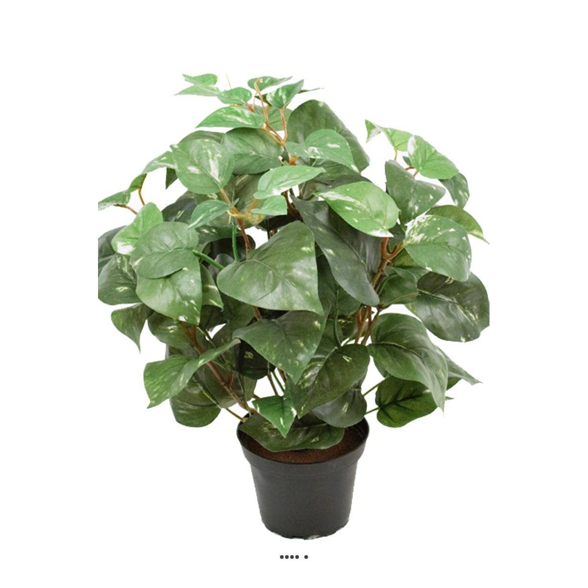 Pothos au feuillage panaché artificiel en pot v002239, ARTIFICIELLES